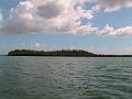 25 - Mangrove 002